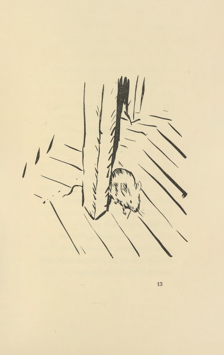 Histoires naturelles Pl 27 1922