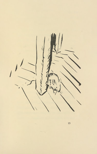 Histoires naturelles Pl 27 1922