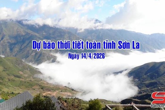 Dự báo thời tiết toàn tỉnh Sơn La ngày 14/04/2026 - Báo Sơn La