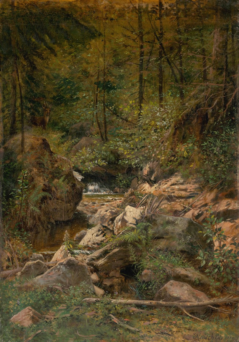 Forest Stream 1900