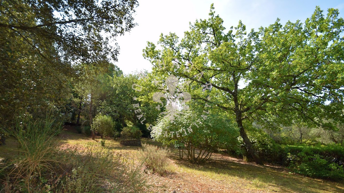וילה ולנטינה (Villa Valentina) — 13