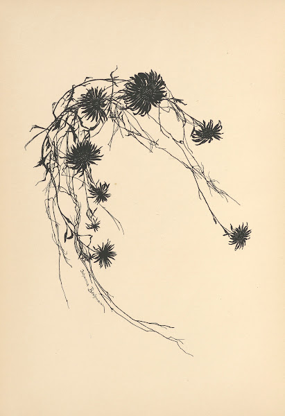 Vertrauen Pl33 1933