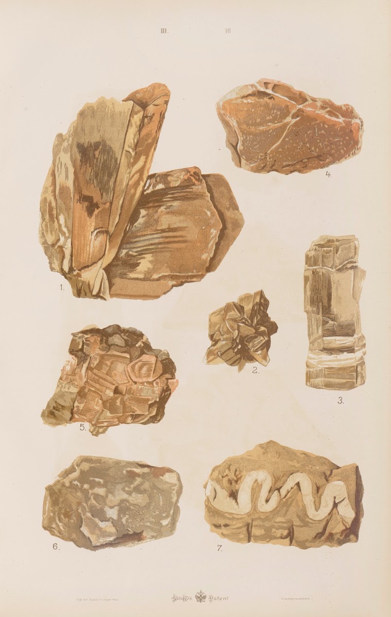 Wielki atlas do zoologii botaniki i mineralogii Pl115 1887