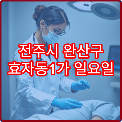 전주시 완산구 효자동1가 일요일 진료 한의원 담 결림 근육통 치료