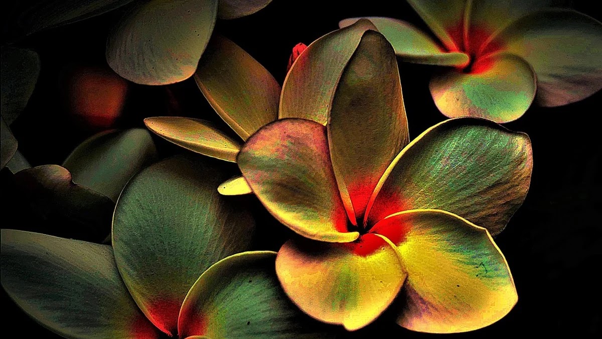 2FA 인증 방식별 보안 강도와 설정 방법 비교