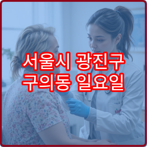 서울시 광진구 구의동 일요일 한의원 진료 안내 주말 한의원 진료 병원 리스트