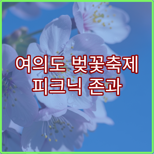 여의도 벚꽃축제 피크닉 존과 화장실 편의시설 위치