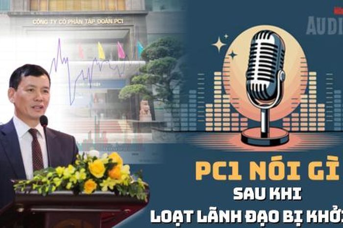 Chủ tịch PC1 Trịnh Văn Tuấn bị khởi tố: Vốn hóa 'ông lớn' ngành điện bốc hơi gần 6.000 tỉ đồng - Báo Người Lao Động