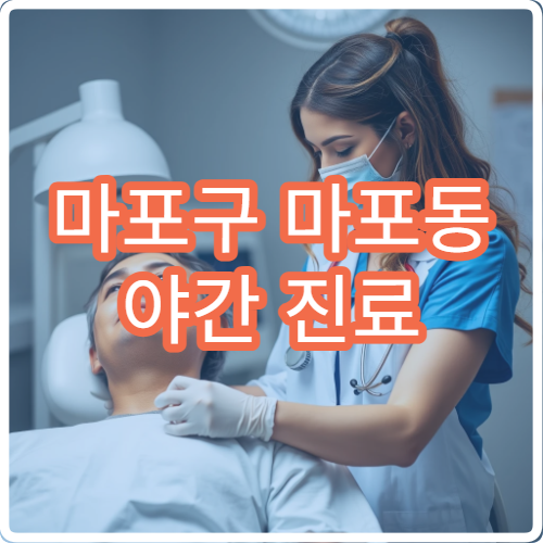 마포구 마포동 야간 진료 정형외과 병원 안내