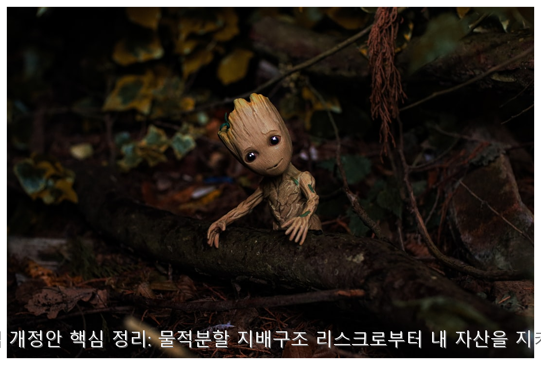 K-상법 개정안 핵심 정리: 물적분할 지배구조 리스크로부터 내 자산을 지키는 법 핵심 안내 및 분석 인포그래픽 (7)
