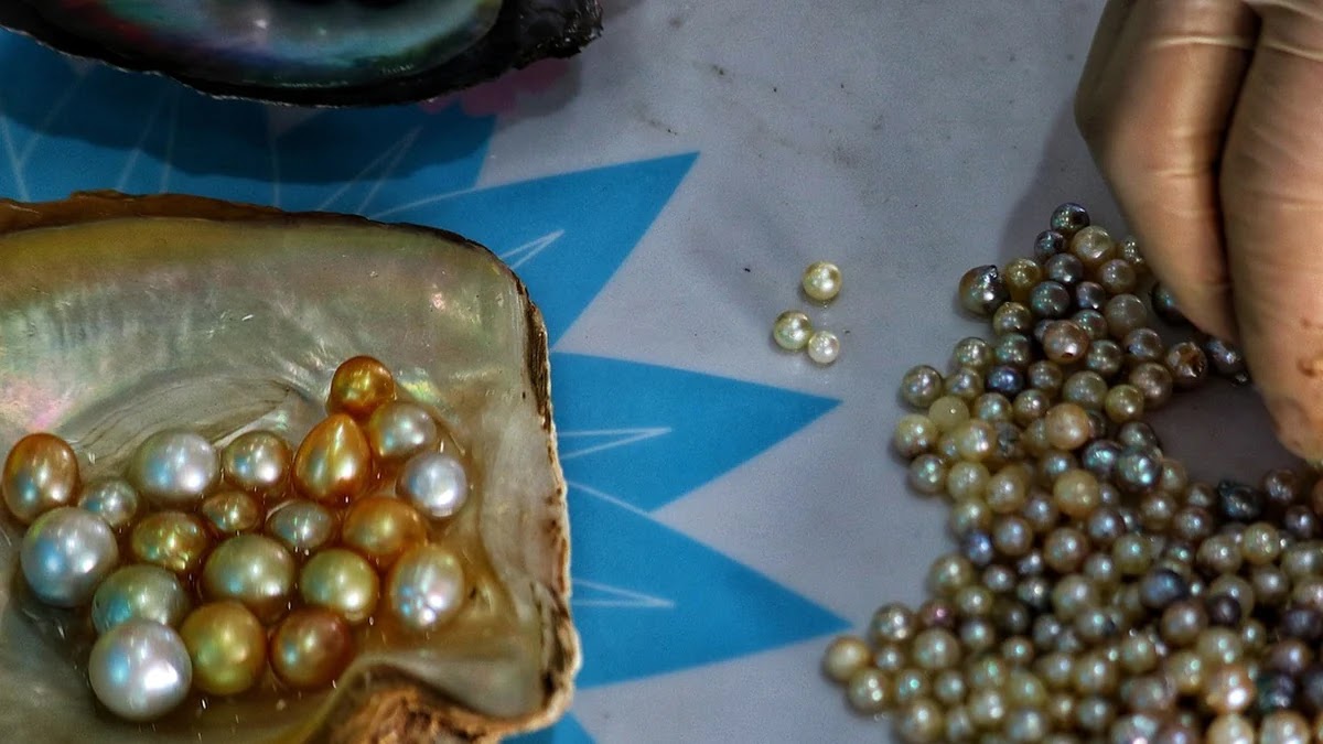 퀵정렬과 병합정렬 알고리즘 동작원리 비교