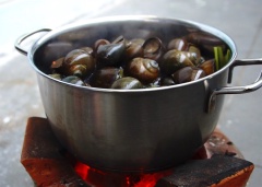 Cách luộc ốc bươu ngon: Cho sả đập giập, gừng, ớt thái nhỏ, ốc bươu vào nồi luộc sơ cho ốc sạch và khử mùi. Sau đó vớt ốc ra để riêng và cắt đuôi ốc để khi nướng trên vỉ, ốc sẽ không bị nổ.