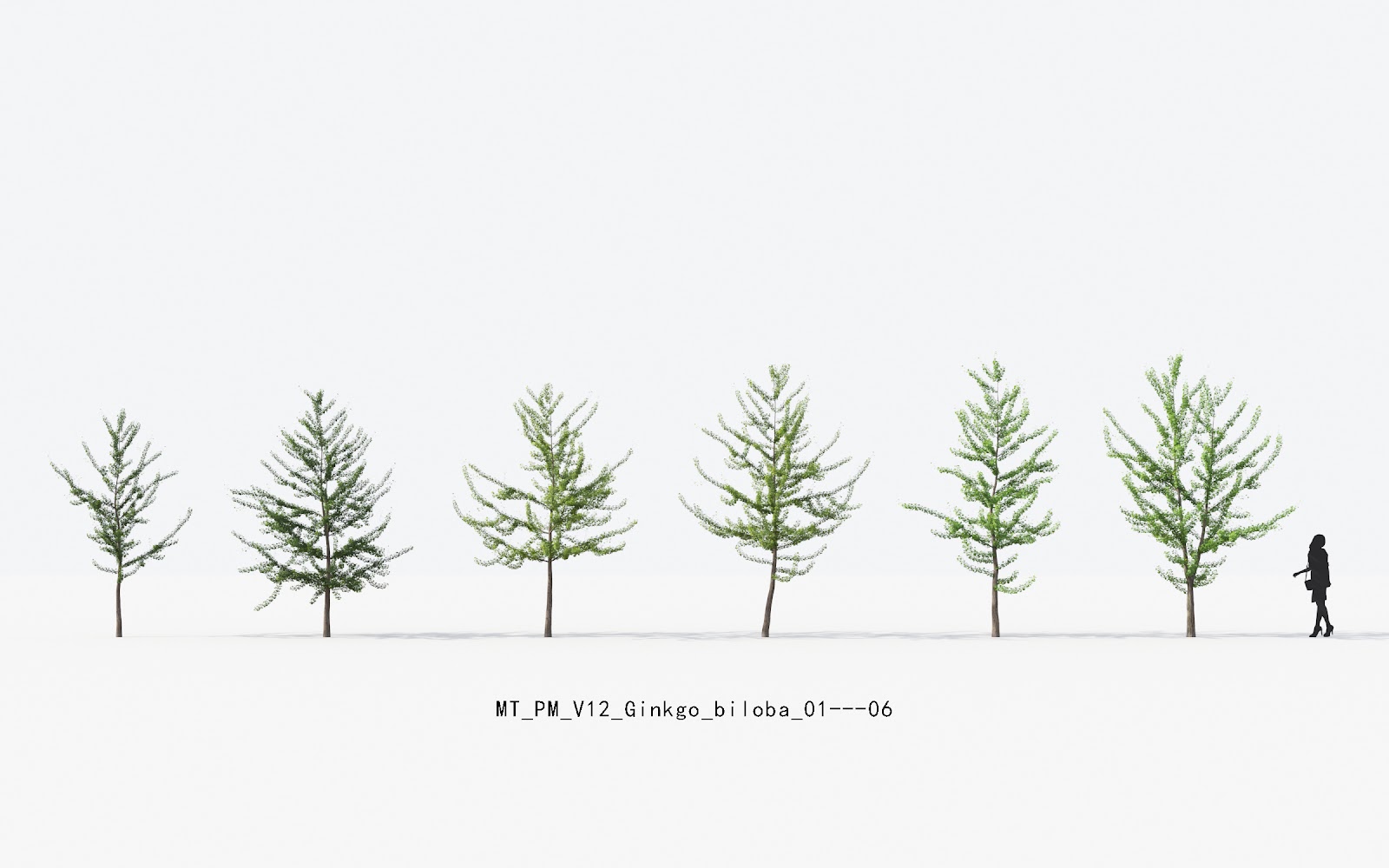 Maxtree - Plant Models Vol.12