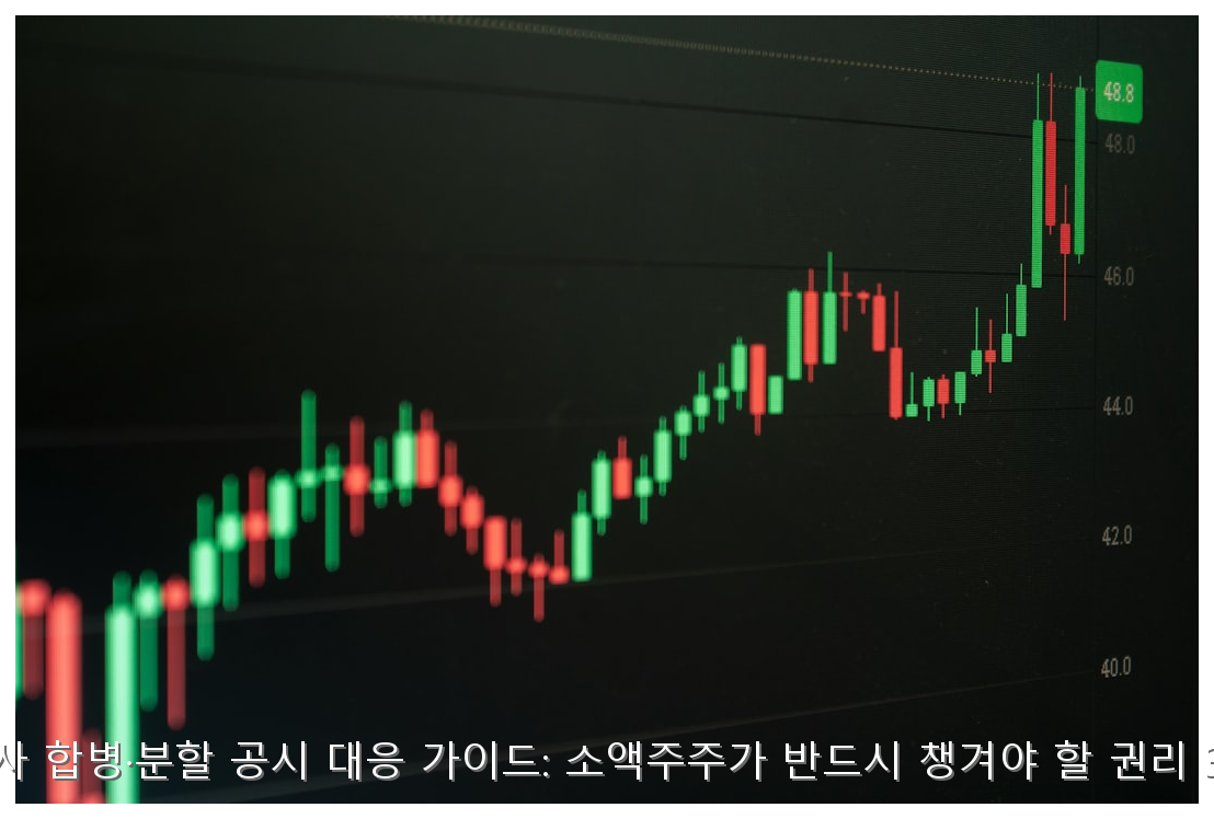 상장사 합병·분할 공시 대응 가이드: 소액주주가 반드시 챙겨야 할 권리 3가지 핵심 안내 및 분석 인포그래픽 (6)