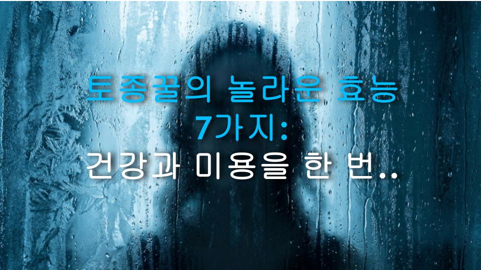 토종꿀의 놀라운 효능 7가지: 건강과 미용을 한 번에 잡는 자연의 선물