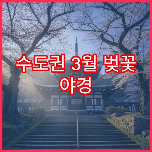 수도권 3월 벚꽃 야경 명소 BEST 7