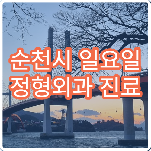 순천시 일요일 정형외과 진료 – 허리, 무릎, 어깨 통증 및 교통사고 환자 치료