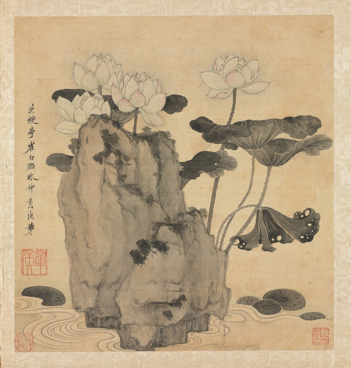 Lotus and Rocks 1598 1652