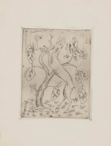 Sarna 1927