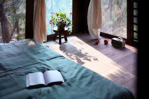 Nhà Lớn Rừng Thông (Đảo Bên Rừng) 7PN, Ba Vì – ảnh 18