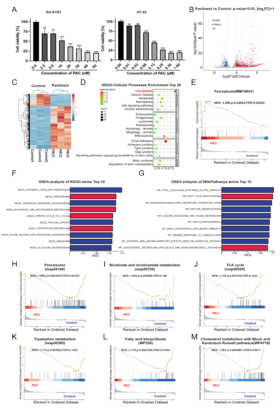 Paclitaxel Induces Neurotoxicity via Activating Ferroptosis by Suppressing Nrf2/SLC7A11/GSH/GPX4 Signaling