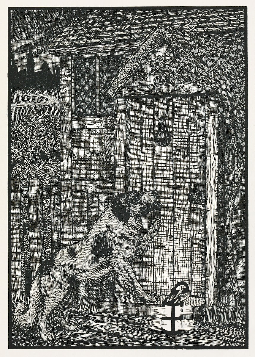A hundred anecdotes of animals pl 003 1901