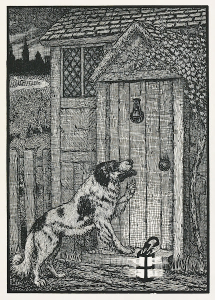 A hundred anecdotes of animals pl 003 1901