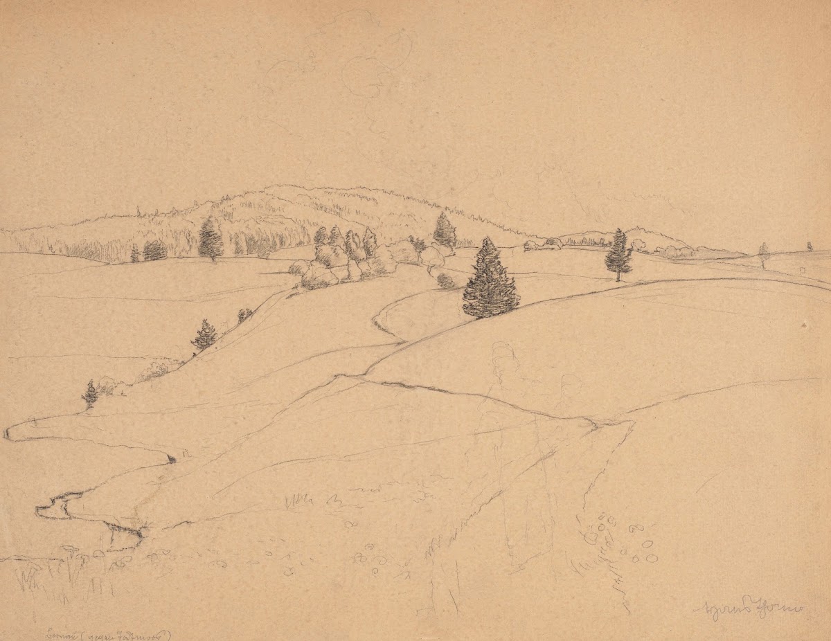 Landscape from the Surroundings of Bernau in the Black Forest 1890   1900