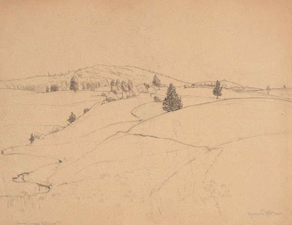 Landscape from the Surroundings of Bernau in the Black Forest 1890   1900