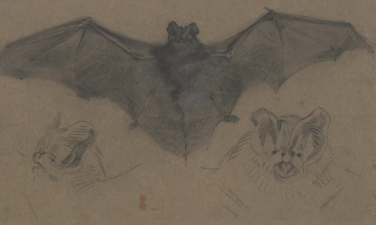 Bat ca 1818 1822