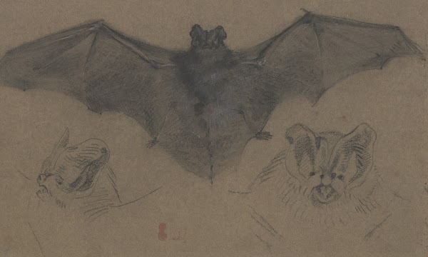 Bat ca 1818 1822