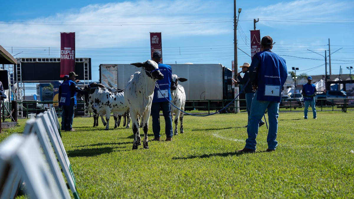 EXPOALAN 7 (6) - Expoagro 2026