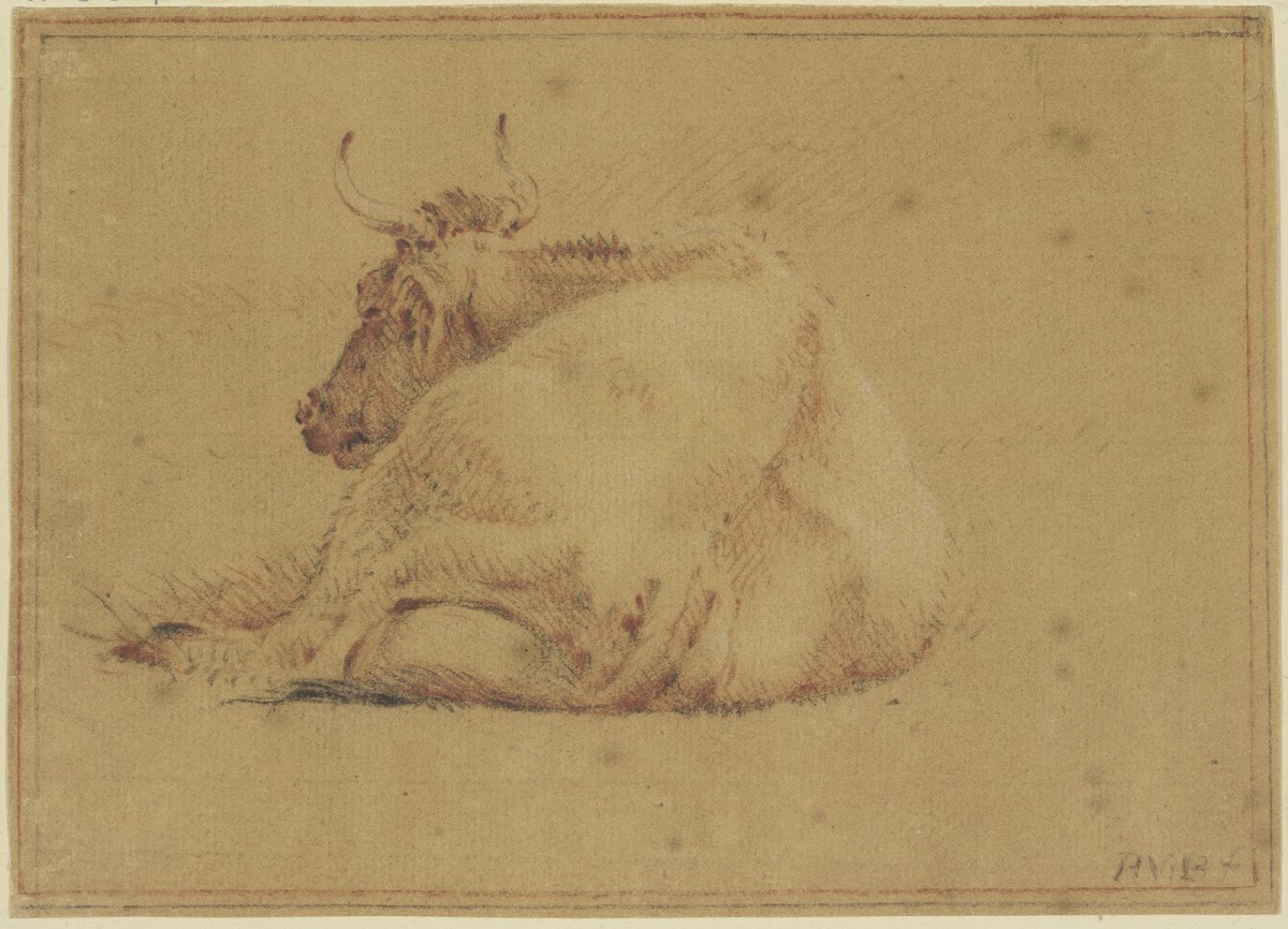 Lying cow