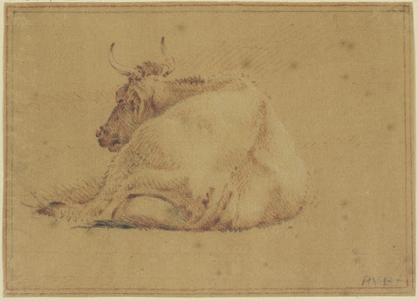 Lying cow