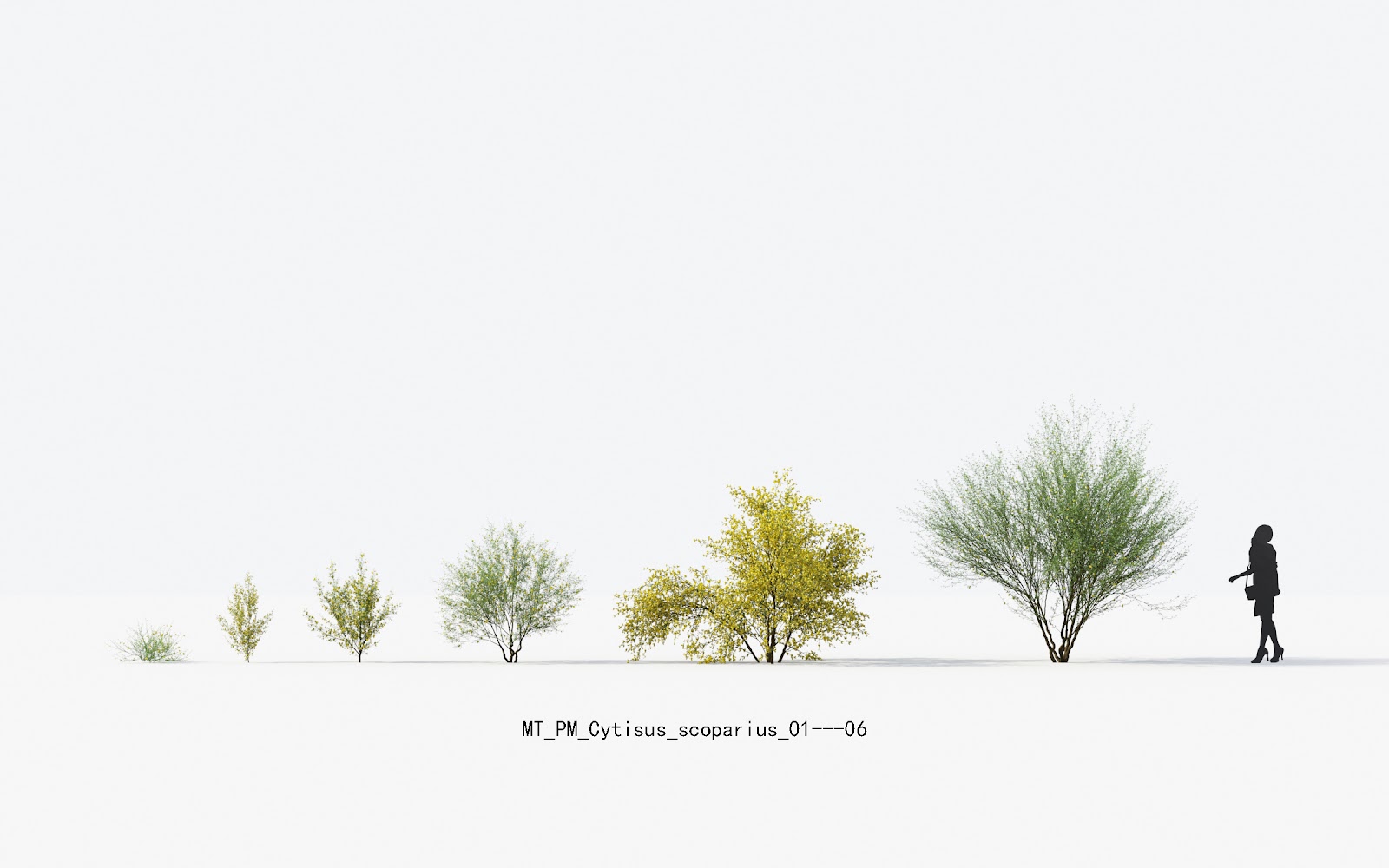 Maxtree - Plant Models Vol.13