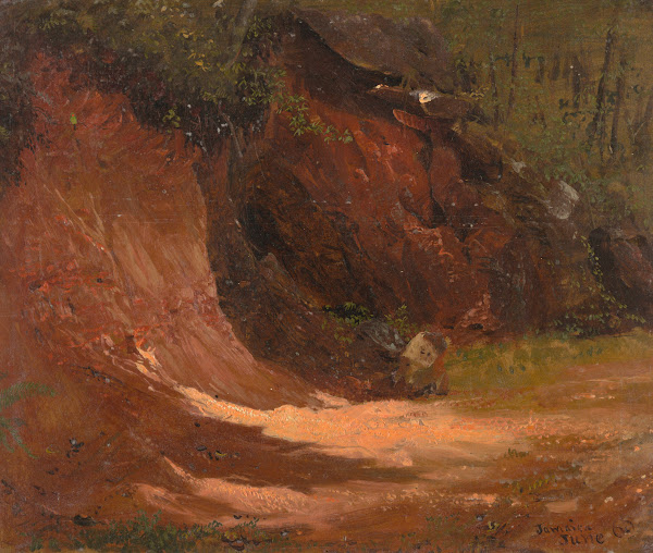 Woodland bank Jamaica 1865