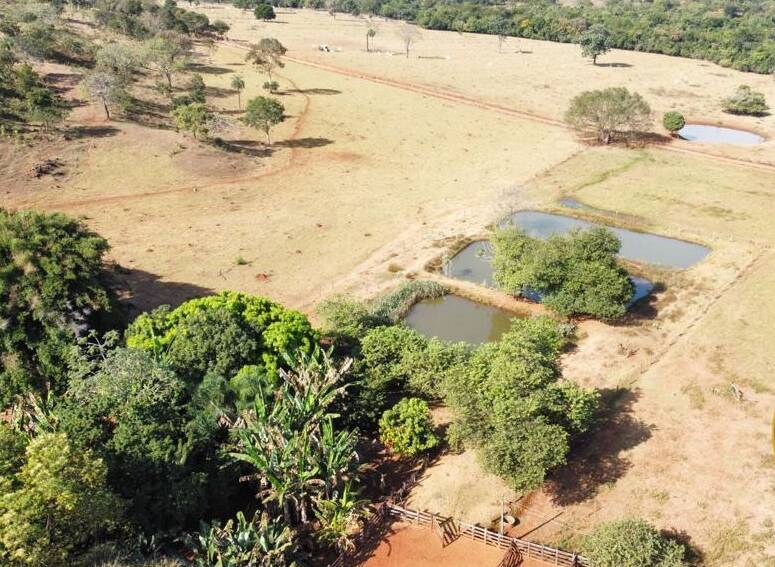 Fazenda no Município de Faina - GO 2