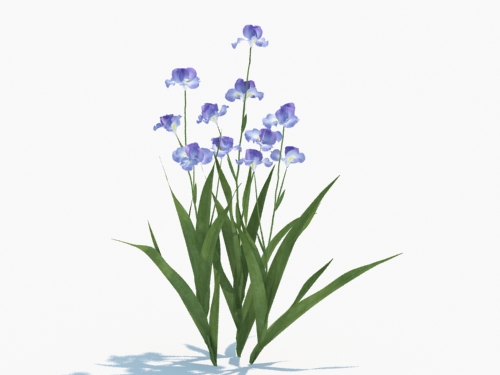 Maxtree - Plant Models Vol.3