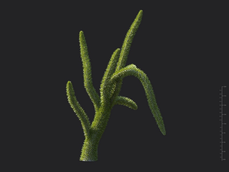Maxtree - Plant Models Vol.130