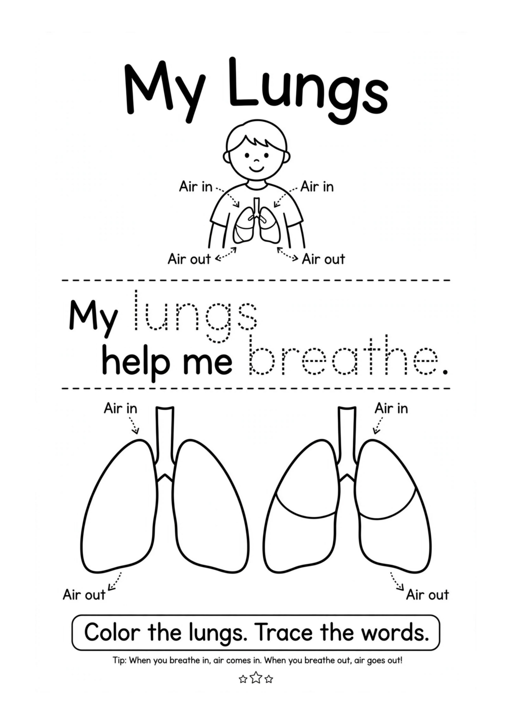 My Lungs