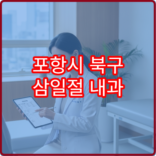 포항시 북구 삼일절 내과 진료 병원 휴일 진료 가능