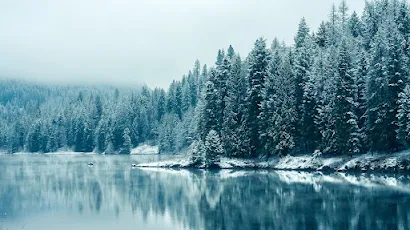 Snow, Lake, Nature, Depth Of Field, Trees Full HD Wallpaper Background