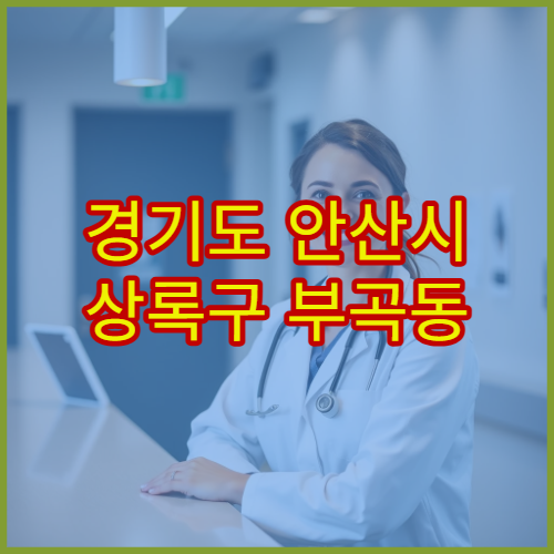 경기도 안산시 상록구 부곡동 설날 명절 연휴 당번약국 부곡지하상가·부곡공원 인근 야간 응급약 판매 약국 정보