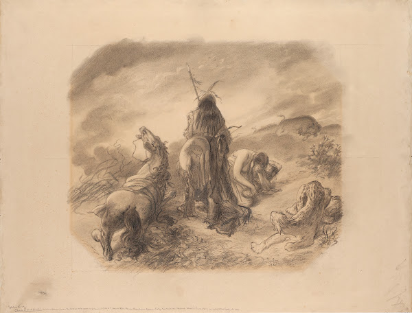 Oheň  cyklus Živly 1881