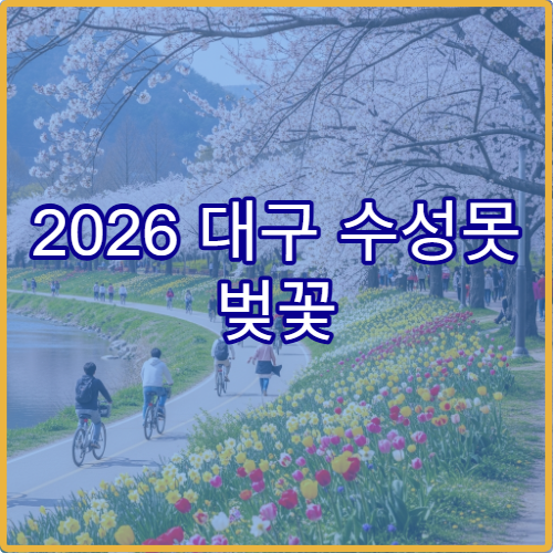 2026 대구 수성못 벚꽃 자전거 대여 가격과 초보자 라이딩 팁 모음