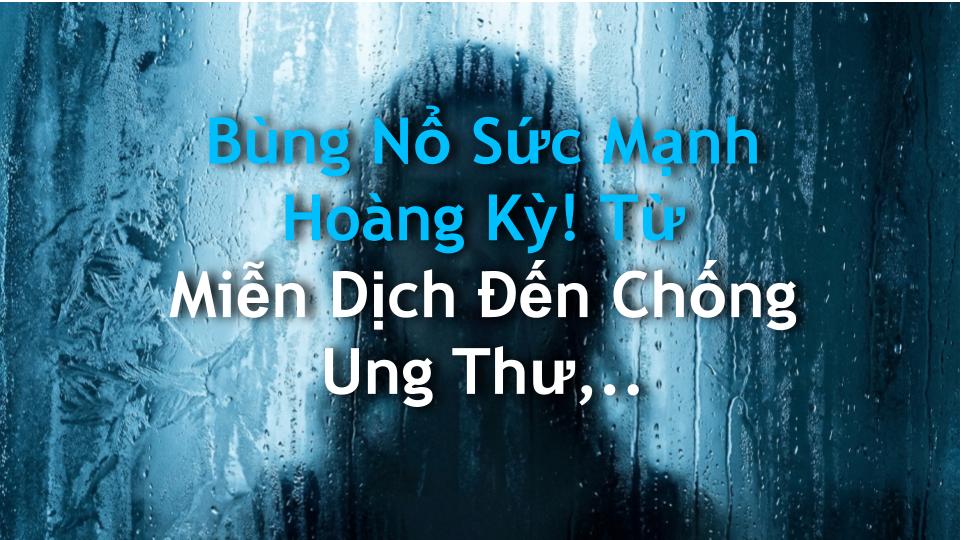 Bùng Nổ Sức Mạnh Hoàng Kỳ! Từ Miễn Dịch Đến Chống Ung Thư, Nhận 200% Lợi Ích Khi Biết Cách