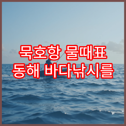 묵호항 물때표 동해 바다낚시를 위한 오늘의 조석시간