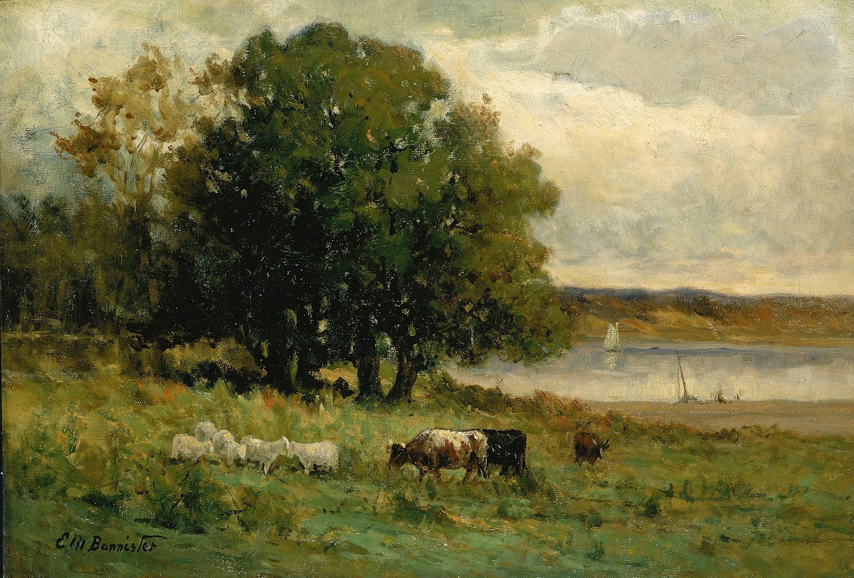 Untitled cattle near river with sailboat in distance
