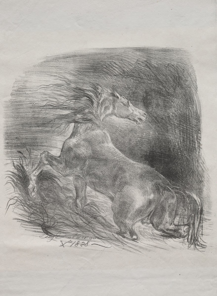 The Wild Horse or Frightened Horse Leaving the Water 1828