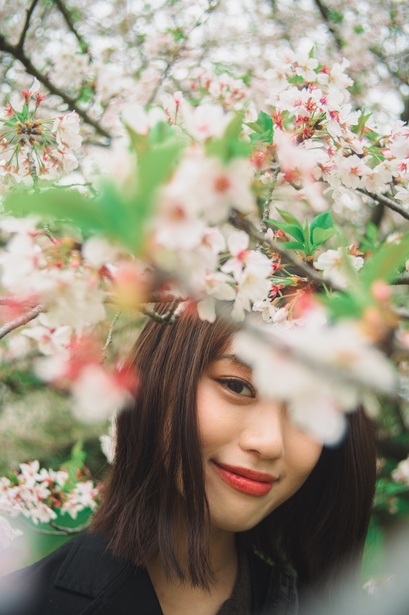Portrait — Makino Shota